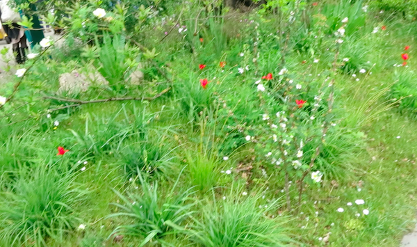 スクリーンショット 2015-05-30 16.14.27