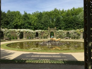 IMG_1198