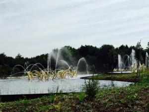 IMG_1201