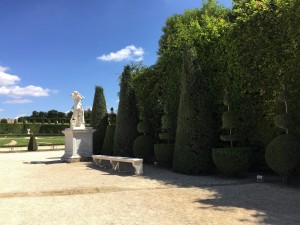 IMG_1411