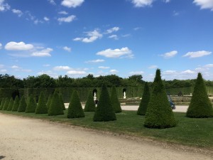 IMG_1443