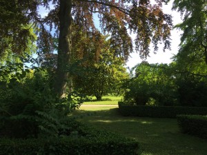 IMG_2145
