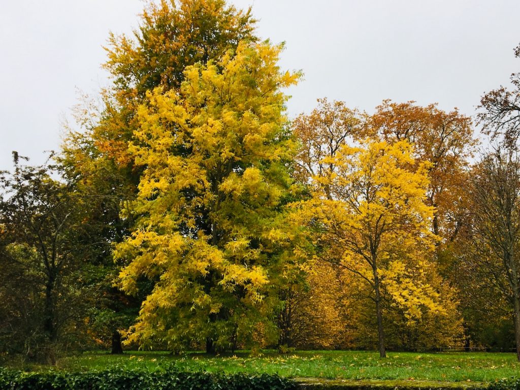 プチトリアノン 庭園