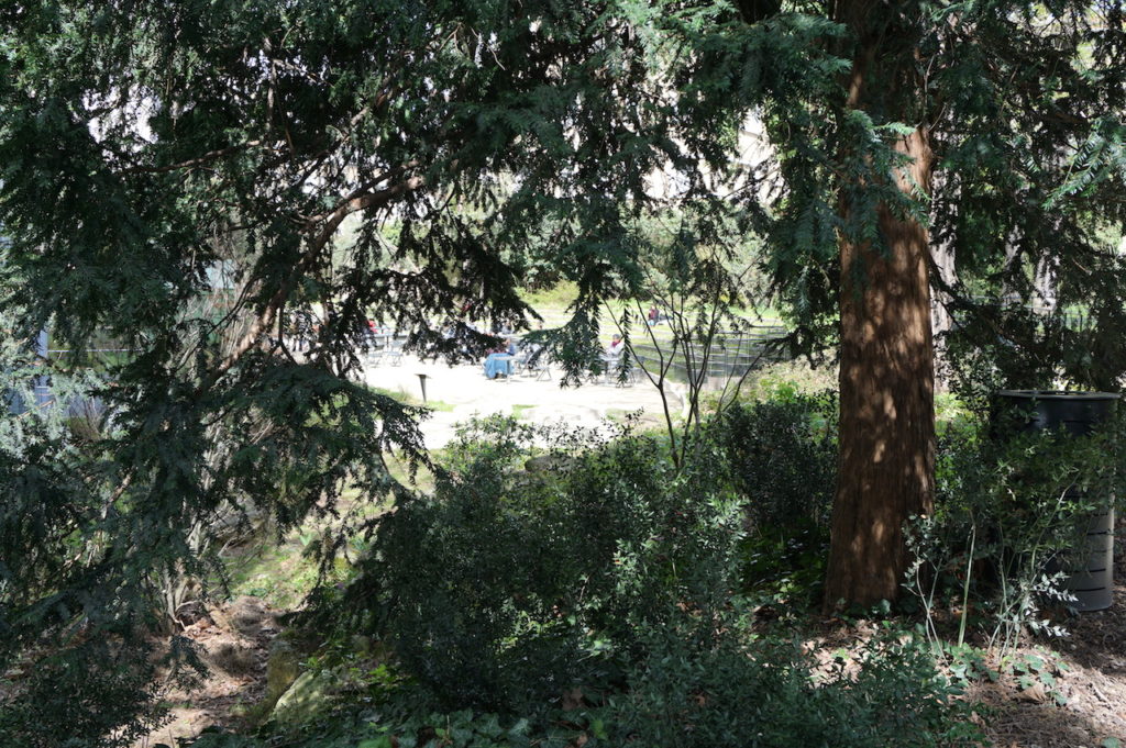 garden cartier foundation paris