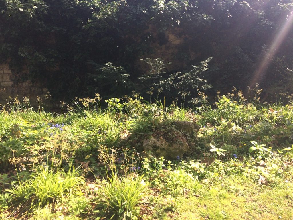 garden fondation cartier