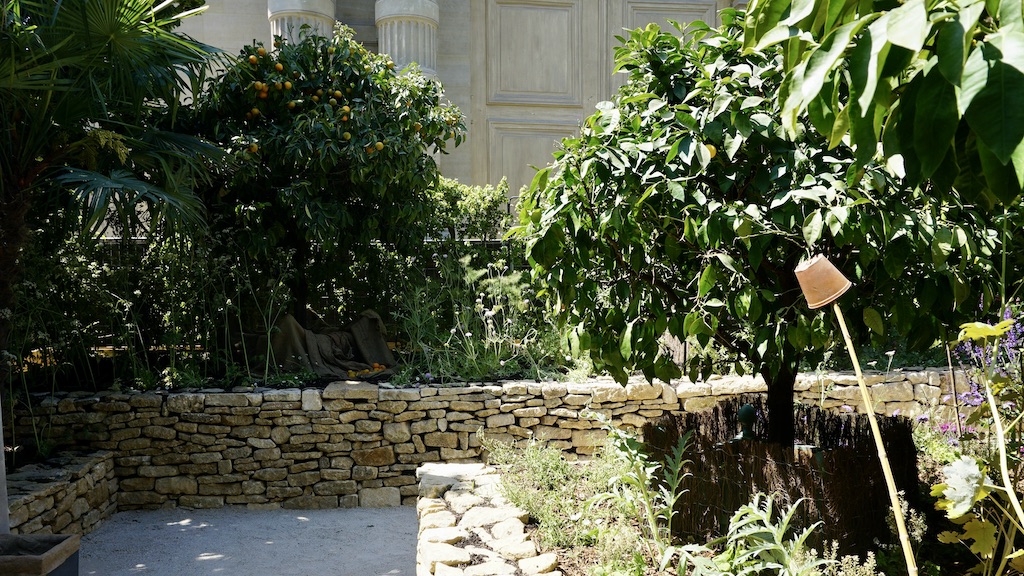 ビターオレンジ