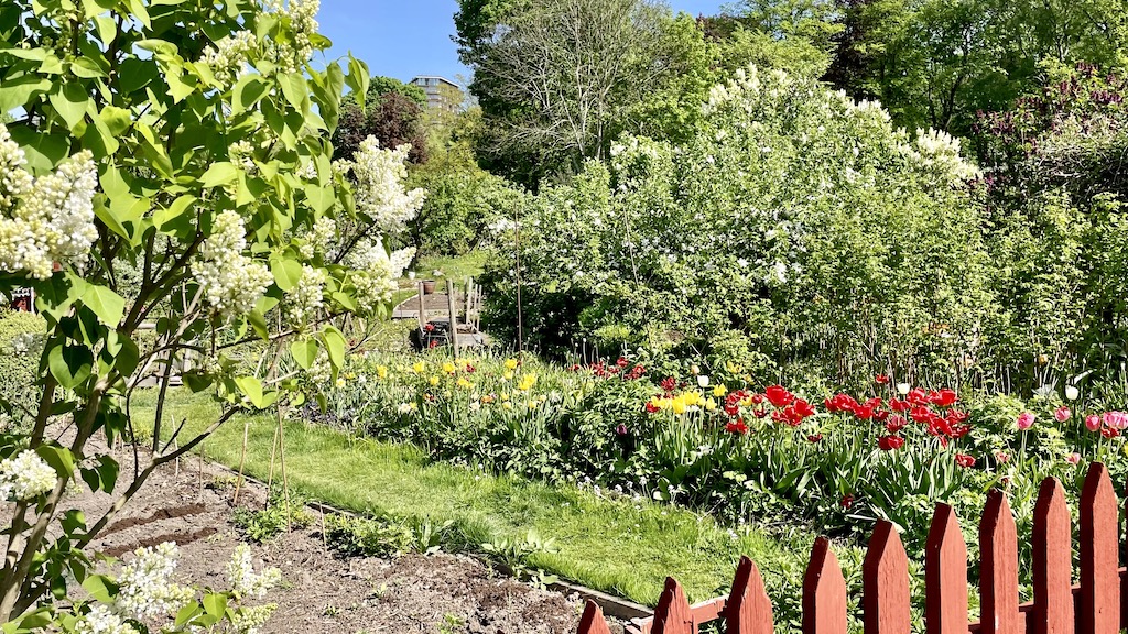 コロニーガルデン、市民農園、ストックホルム、