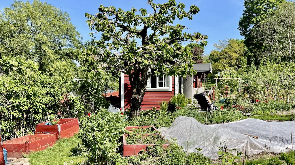 コロニーガーデン、市民農園、ストックホルム