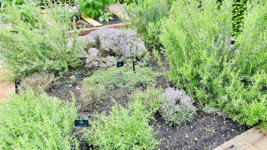 モナステリーガーデン、ハーブ