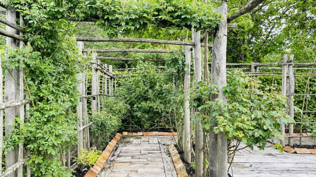 オルサン、ドルサン、聖母のバラ園