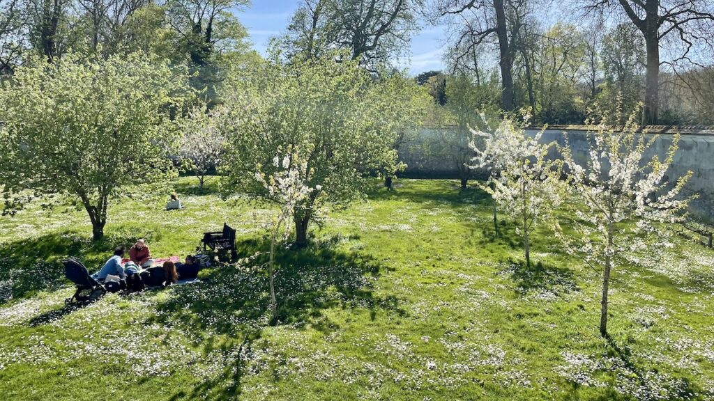 王の菜園 ピクニック