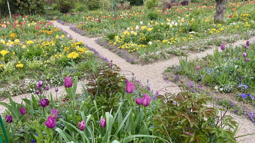 モネの庭、ジヴェルニー、チューリップ